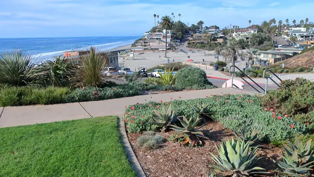 The grassy overlook and succulent garden above Moonlight Beach