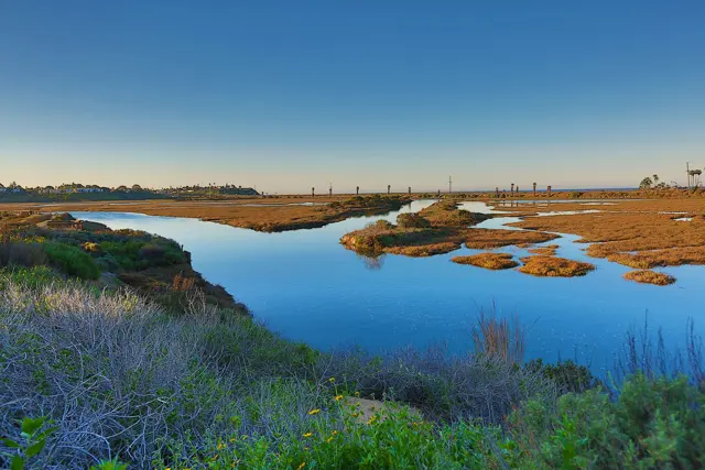 The San Elijo Lagoon wetlands at golden hour
