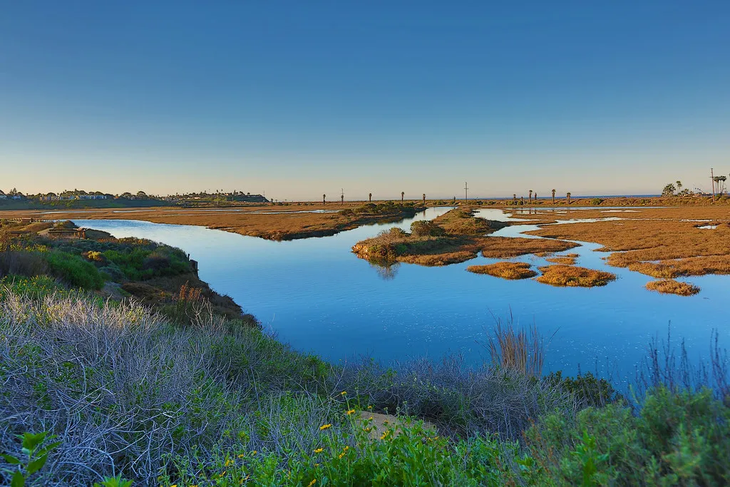 The San Elijo Lagoon wetlands at golden hour